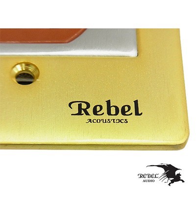 REBEL 醫療級電源座組金框 250V