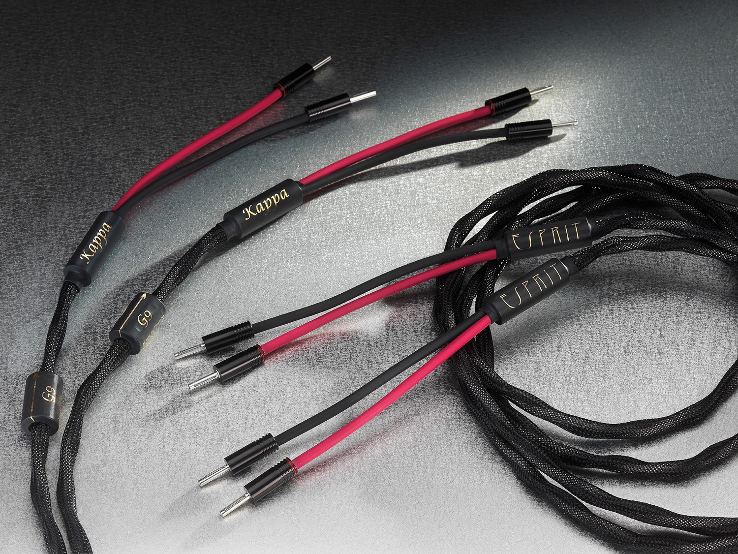 Kappa Loudspeaker connection 喇叭線（3M)