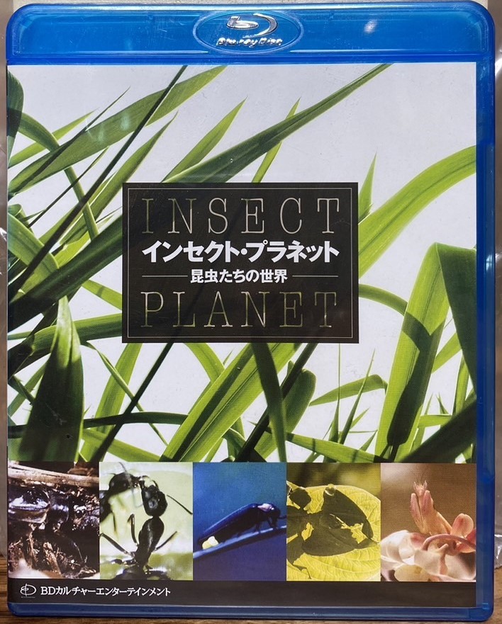 Insect Planet インセクト．プラネット　昆虫たちの世界  (BD)