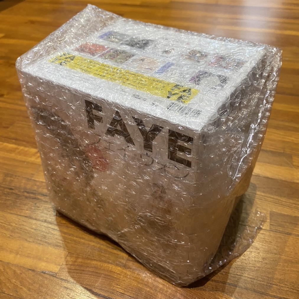 FAYE WONG 王菲 / 我的世界 王菲 日本唱片誌 1  (10CD+DVD BOX SET)