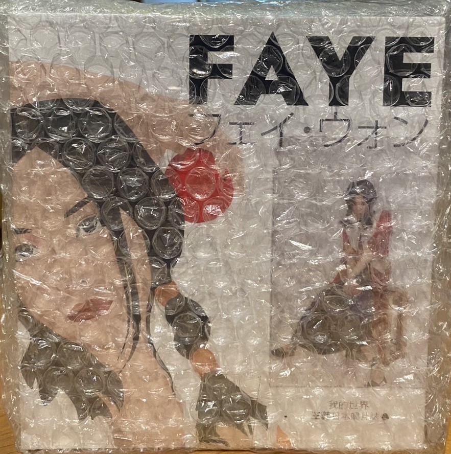 FAYE WONG 王菲 / 我的世界 王菲 日本唱片誌 1  (10CD+DVD BOX SET)