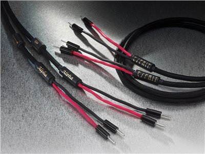  Alpha Loudspeaker connection 喇叭線 (3M)