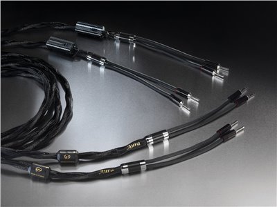 Aura Loudspeaker connection 喇叭線（3M)