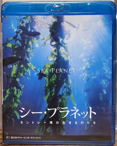 シー・プラネット モントレー湾の生きものたち  (BD)